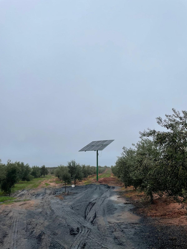 Hnos. Alfaro Marín 8