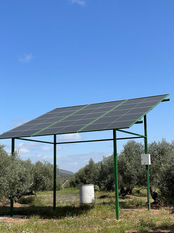 Hnos. Alfaro Marín 5