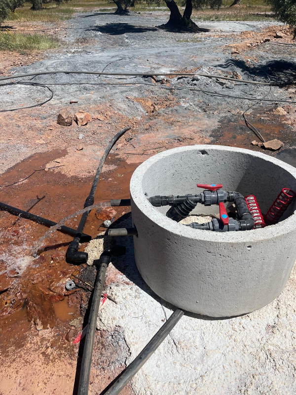 Hnos. Alfaro Marín 10